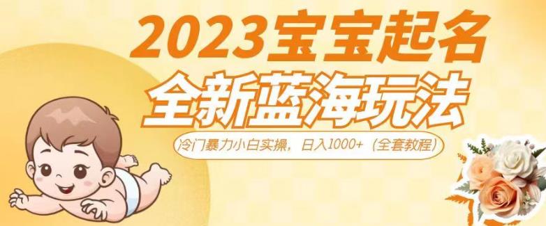 2023宝宝起名全新蓝海玩法，冷门暴力小白实操，日入1000+（全套教程）【揭秘】-启航188资源站