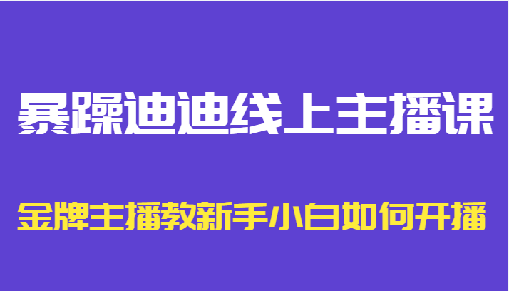 暴躁迪迪线上主播课，金牌主播教新手小白如何开播-启航188资源站