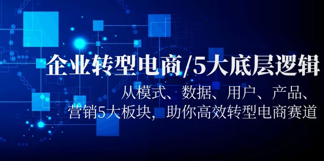 （5939期）企业转型电商/5大底层逻辑，从模式 数据 用户 产品 营销5大板块，高效转型-启航188资源站