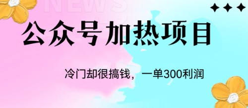 （6916期）冷门公众号加热项目，一单利润300+-启航188资源站