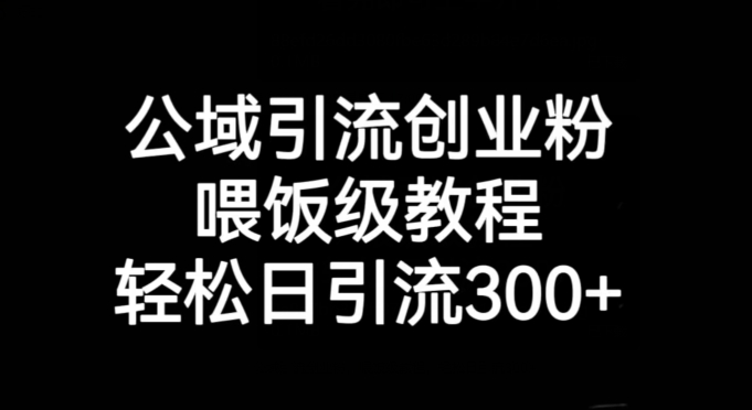 公域引流创业粉，喂饭级教程，轻松日引流300+【揭秘】-启航188资源站