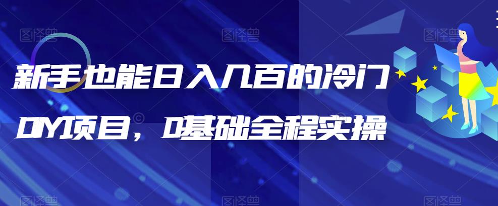 （6630期）新手也能日入几百的冷门DIY项目，0基础全程实操【揭秘】-启航188资源站