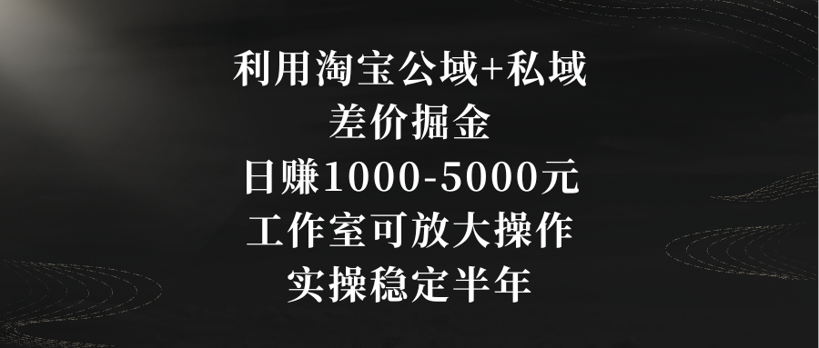 利用淘宝公域+私域差价掘金，日赚1000-5000元，工作室可放大操作，实操…-启航188资源站