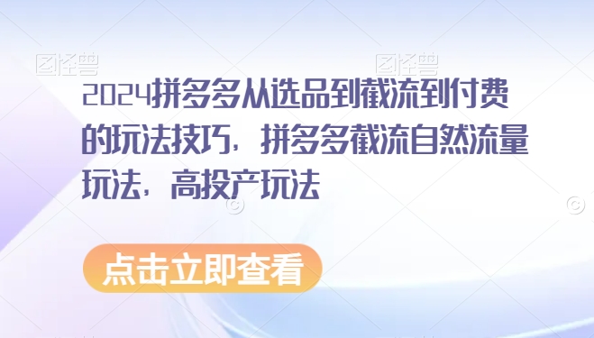 2024拼多多从选品到截流到付费的玩法技巧，拼多多截流自然流量玩法，高投产玩法-启航188资源站