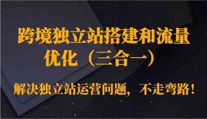 跨境独立站搭建和流量优化（三合一）解决独立站运营问题，不走弯路！-启航188资源站