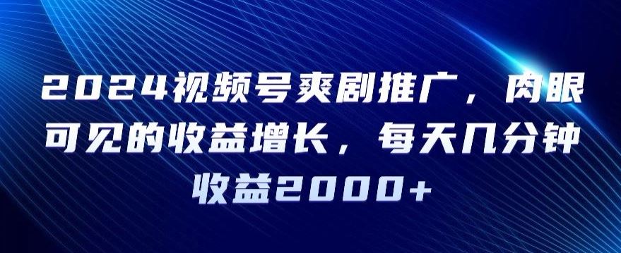 2024视频号爽剧推广，肉眼可见的收益增长，每天几分钟收益2000+【揭秘】-启航188资源站