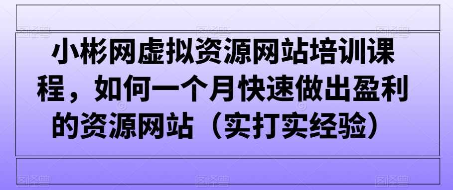 小彬网虚拟资源网站培训课程，如何一个月快速做出盈利的资源网站（实打实经验）-启航188资源站