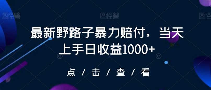 最新野路子暴力赔付，当天上手日收益1000+【仅揭秘】-启航188资源站