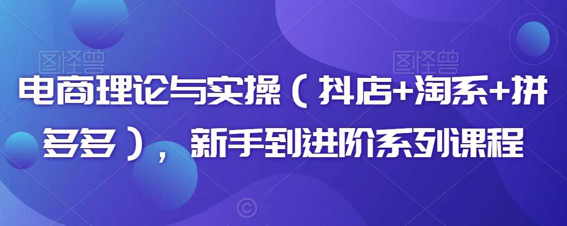 电商理论与实操（抖店+淘系+拼多多），新手到进阶系列课程-启航188资源站