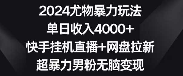 2024尤物暴力玩法，单日收入4000+，快手挂机直播+网盘拉新，超暴力男粉无脑变现【揭秘】-启航188资源站