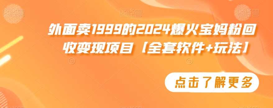 外面卖1999的2024爆火宝妈粉回收变现项目【全套软件+玩法】【揭秘】-启航188资源站