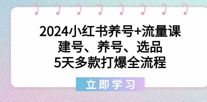 2024小红书养号+流量课：建号、养号、选品，5天多款打爆全流程-启航188资源站