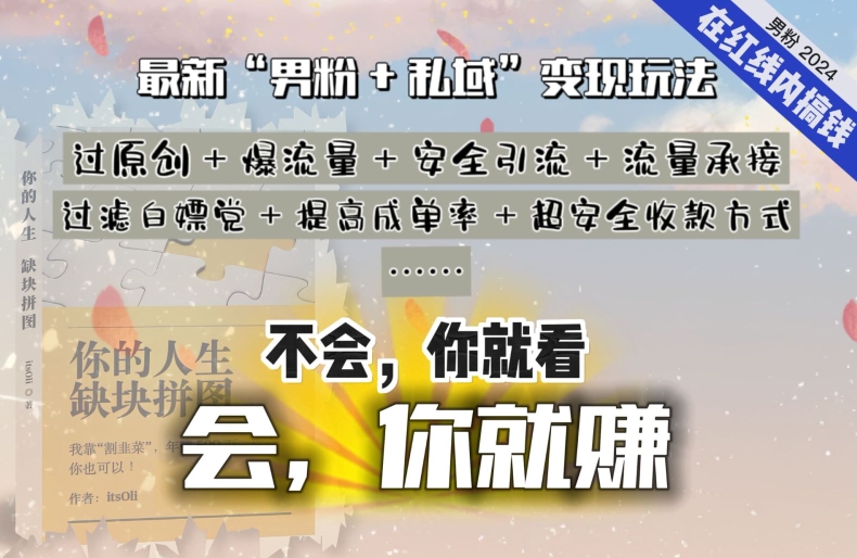 2024，“男粉+私域”还是最耐造、最赚、最轻松、最愉快的变现方式-启航188资源站