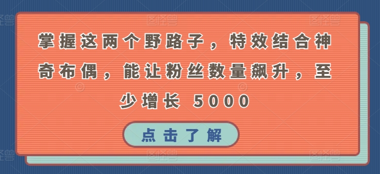 掌握这两个野路子，特效结合神奇布偶，能让粉丝数量飙升，至少增长 5000-启航188资源站