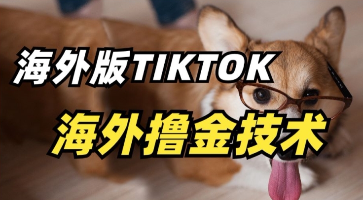 抖音海外版tiktok撸金技术，这个风口行业，赚钱真的不难-启航188资源站