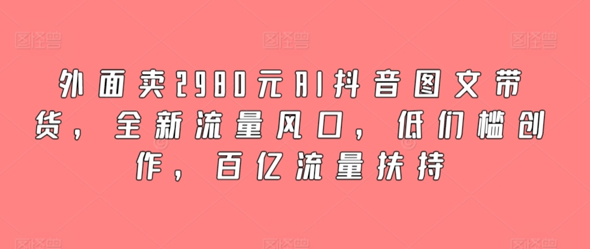 外面卖2980元AI抖音图文带货，全新流量风口，低们槛创作，百亿流量扶持-启航188资源站