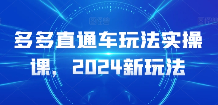 多多直通车玩法实操课，2024新玩法-启航188资源站