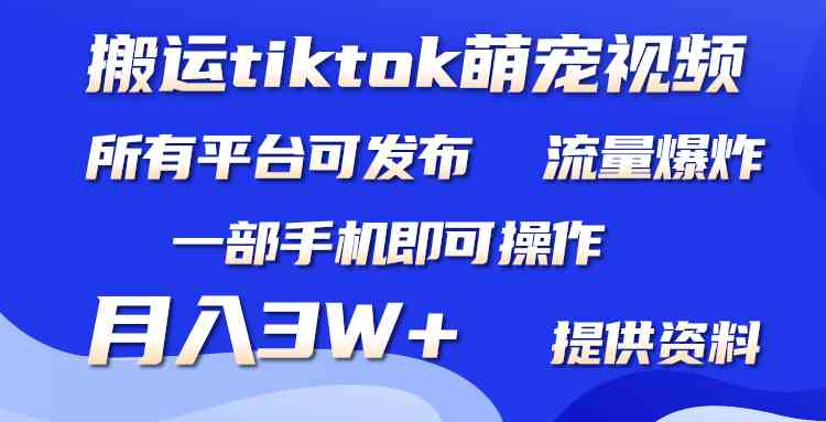 （9618期）搬运Tiktok萌宠类视频，一部手机即可。所有短视频平台均可操作，月入3W+-启航188资源站