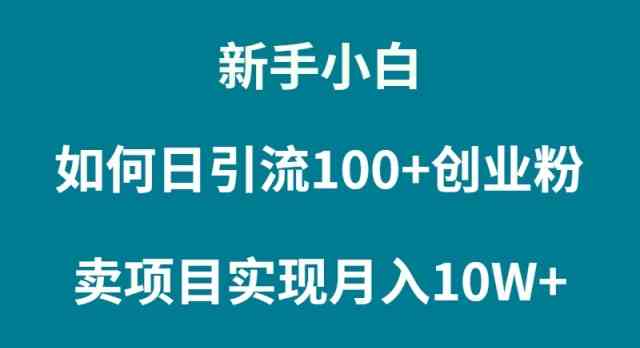 （9556期）新手小白如何通过卖项目实现月入10W+-启航188资源站