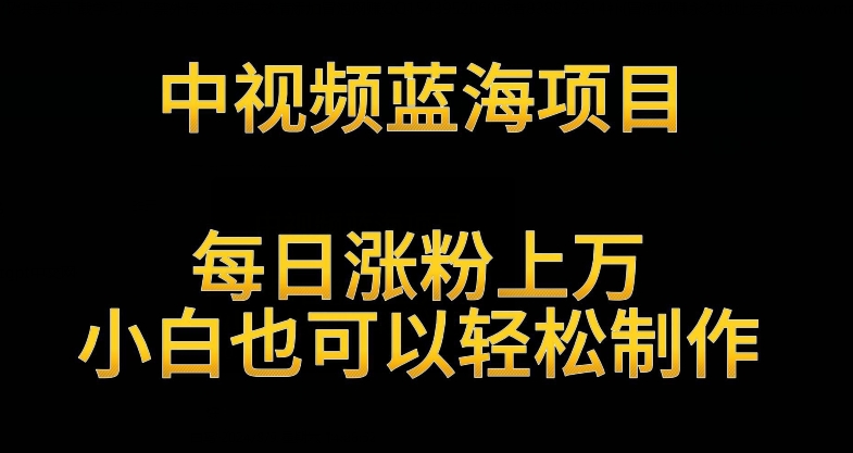 中视频蓝海项目，解读英雄人物生平，每日涨粉上万，小白也可以轻松制作，月入过万不是梦-启航188资源站