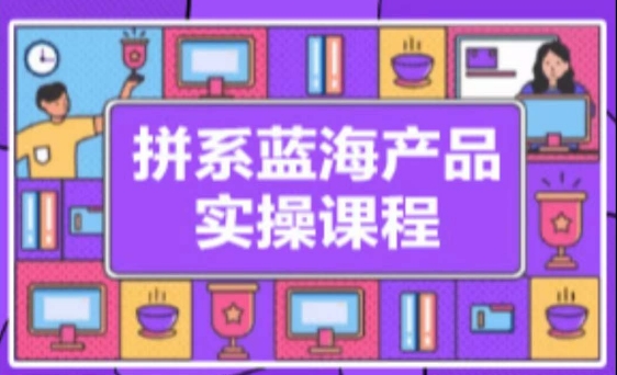 拼系冷门蓝海产品实操课程，从注册店铺到选品上架到流量维护环环相扣-启航188资源站