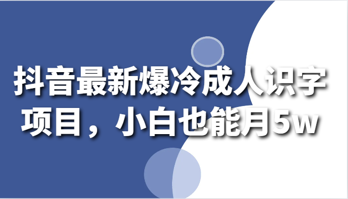 抖音最新爆冷成人识字项目，小白也能月5w-启航188资源站