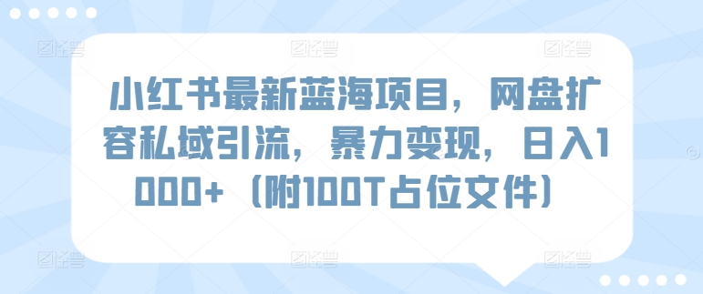 小红书最新蓝海项目，网盘扩容私域引流，暴力变现，日入1000+（附100T占位文件）-启航188资源站