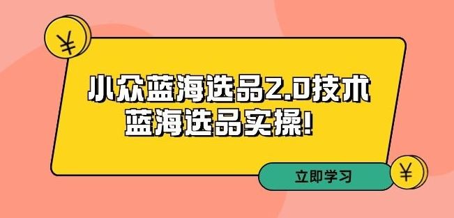 拼多多培训第33期：小众蓝海选品2.0技术-蓝海选品实操！-启航188资源站