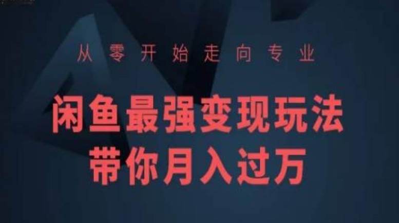 从零开始走向专业，闲鱼最强变现玩法带你月入过万-启航188资源站