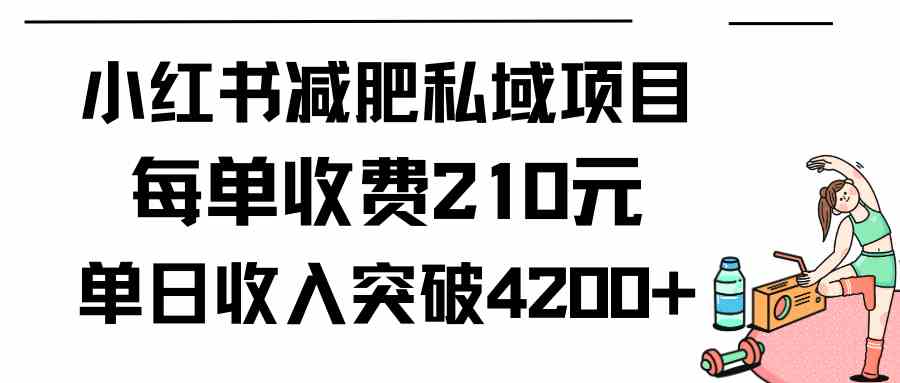 （9466期）小红书减肥私域项目每单收费210元单日成交20单，最高日入4200+-启航188资源站