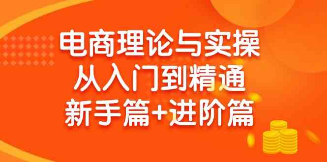 （9576期）电商理论与实操从入门到精通 新手篇+进阶篇-启航188资源站