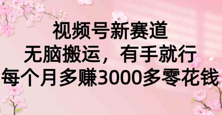 （9277期）视频号新赛道，无脑搬运，有手就行，每个月多赚3000多零花钱-启航188资源站