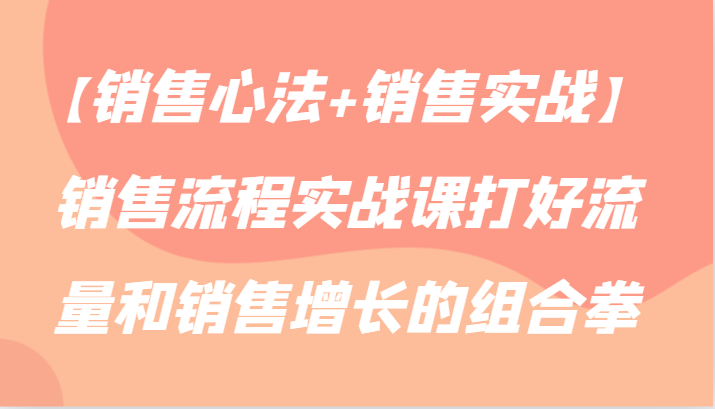 【销售心法+销售实战】销售流程实战课打好流量和销售增长的组合拳-启航188资源站