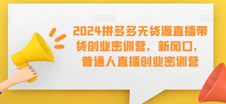 2024拼多多无货源直播带货创业密训营，新风口，普通人直播创业密训营-启航188资源站