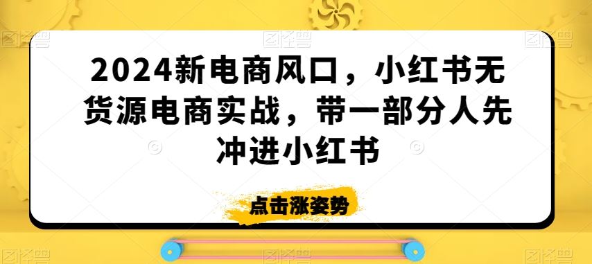 2024新电商风口，小红书无货源电商实战，带一部分人先冲进小红书-启航188资源站