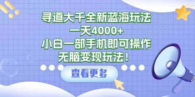 （9479期）寻道大千全新蓝海玩法，一天4000+，小白一部手机即可操作，无脑变现玩法！-启航188资源站