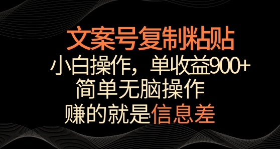 文案号掘金，简单复制粘贴，小白操作，单作品收益900+-启航188资源站