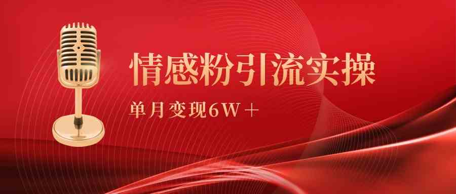 （9473期）单月变现6w+，情感粉引流变现实操课-启航188资源站