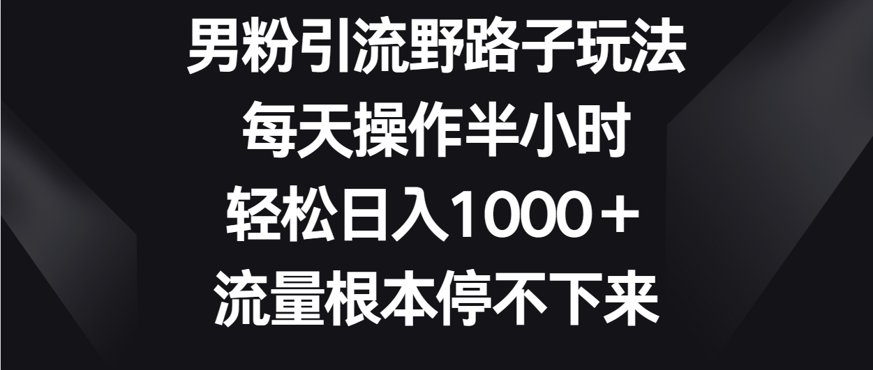 男粉引流野路子玩法，每天操作半小时轻松日入1000＋，流量根本停不下来-启航188资源站