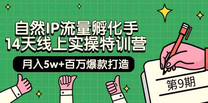 （9881期）自然IP流量孵化手 14天线上实操特训营【第9期】月入5w+百万爆款打造 (74节)-启航188资源站