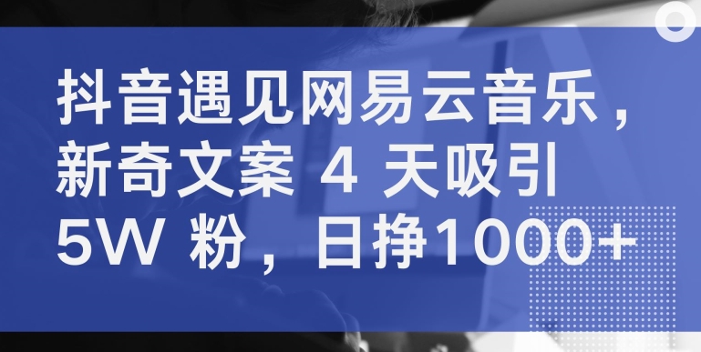 抖音遇见网易云音乐，新奇文案 4 天吸引 5W 粉，日挣1000+-启航188资源站