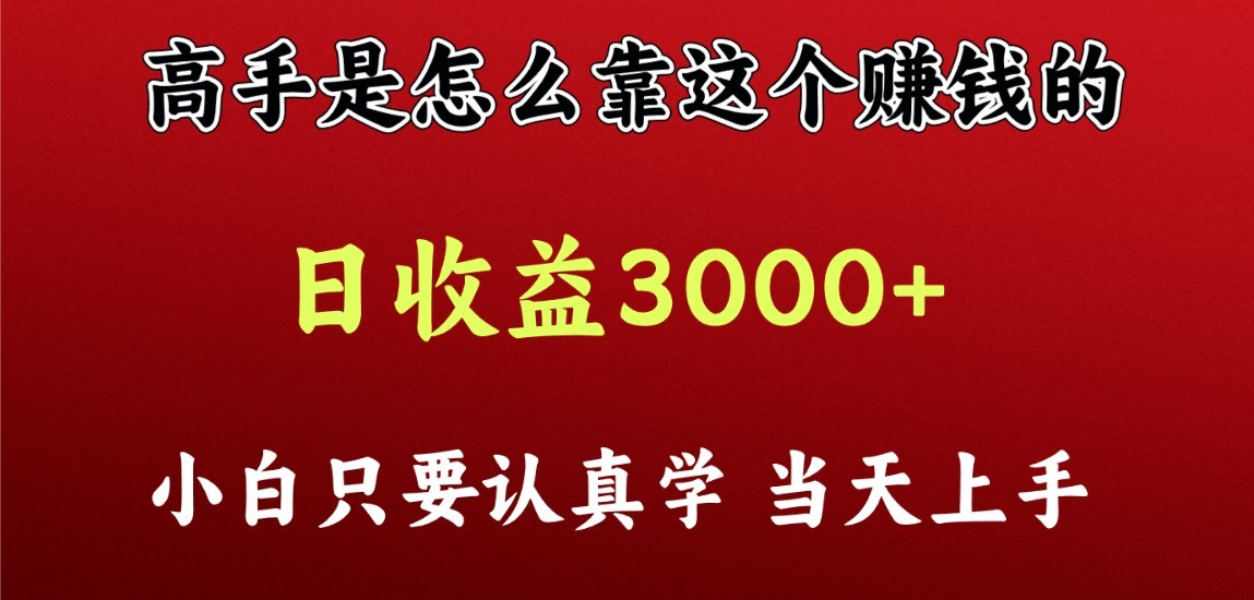 看高手是怎么赚钱的，一天收益至少3000+以上，小白当天上手-启航188资源站