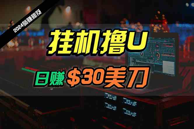 （10013期）日赚30美刀，2024最新海外挂机撸U内部项目，全程无人值守，可批量放大-启航188资源站