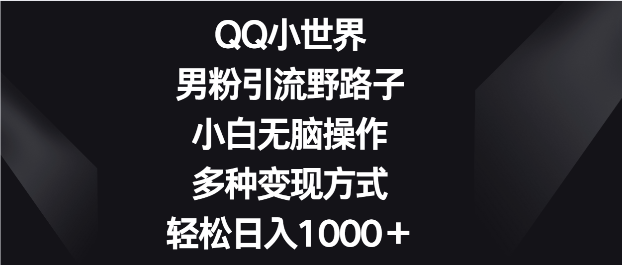 QQ小世界男粉引流野路子，小白无脑操作，多种变现方式轻松日入1000＋-启航188资源站