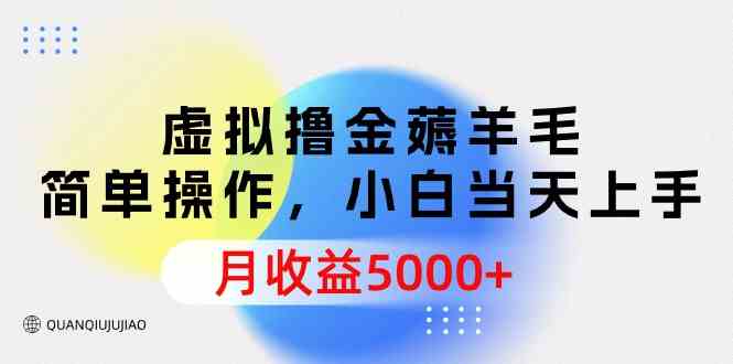 （9864期）虚拟撸金薅羊毛，简单操作，小白当天上手，月收益5000+-启航188资源站