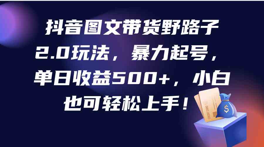 （9790期）抖音图文带货野路子2.0玩法，暴力起号，单日收益500+，小白也可轻松上手！-启航188资源站