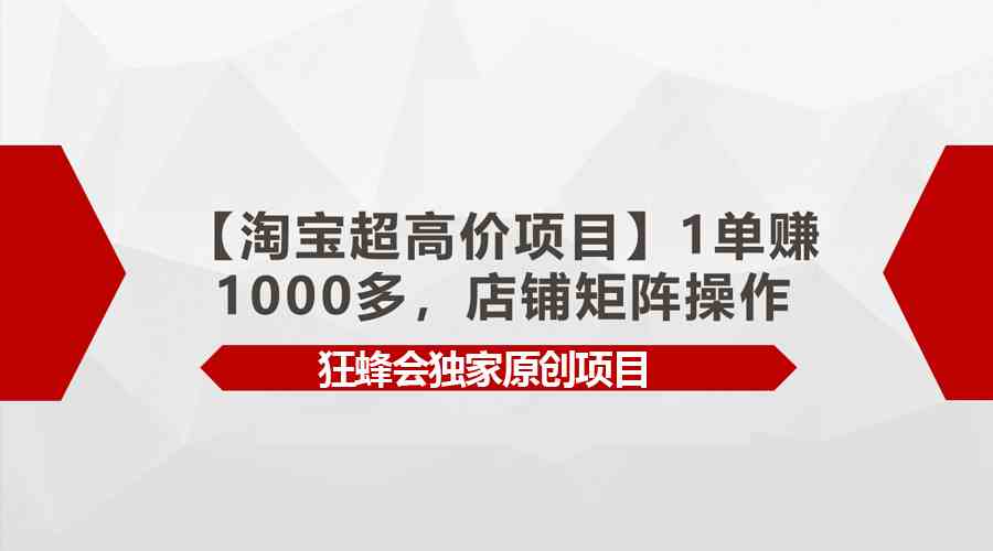 （9849期）【淘宝超高价项目】1单赚1000多，店铺矩阵操作-启航188资源站