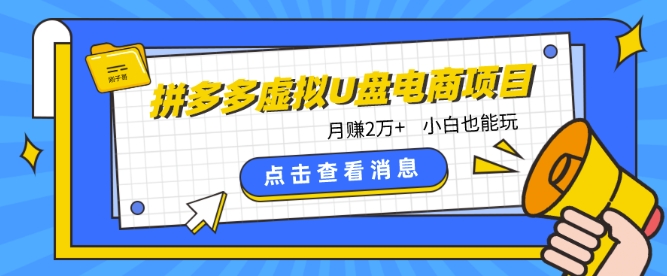 拼多多虚拟U盘电商红利项目：月赚2万+，新手小白也能玩-启航188资源站