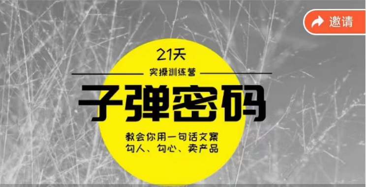 《子弹密码训练营》用一句话文案勾人勾心卖产品，21天学到顶尖文案大师策略和技巧-启航188资源站