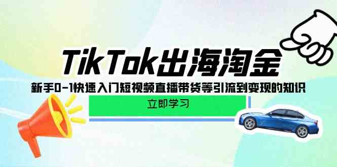 （10035期）TikTok-出海淘金，新手0-1快速入门短视频直播带货等引流到变现的知识-启航188资源站